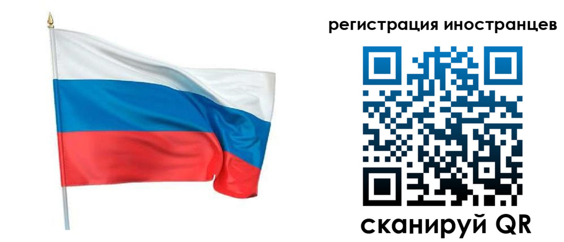 прописка 2025 в Порхове